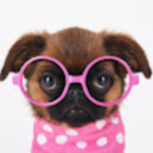 Meet your Posher, Dianne